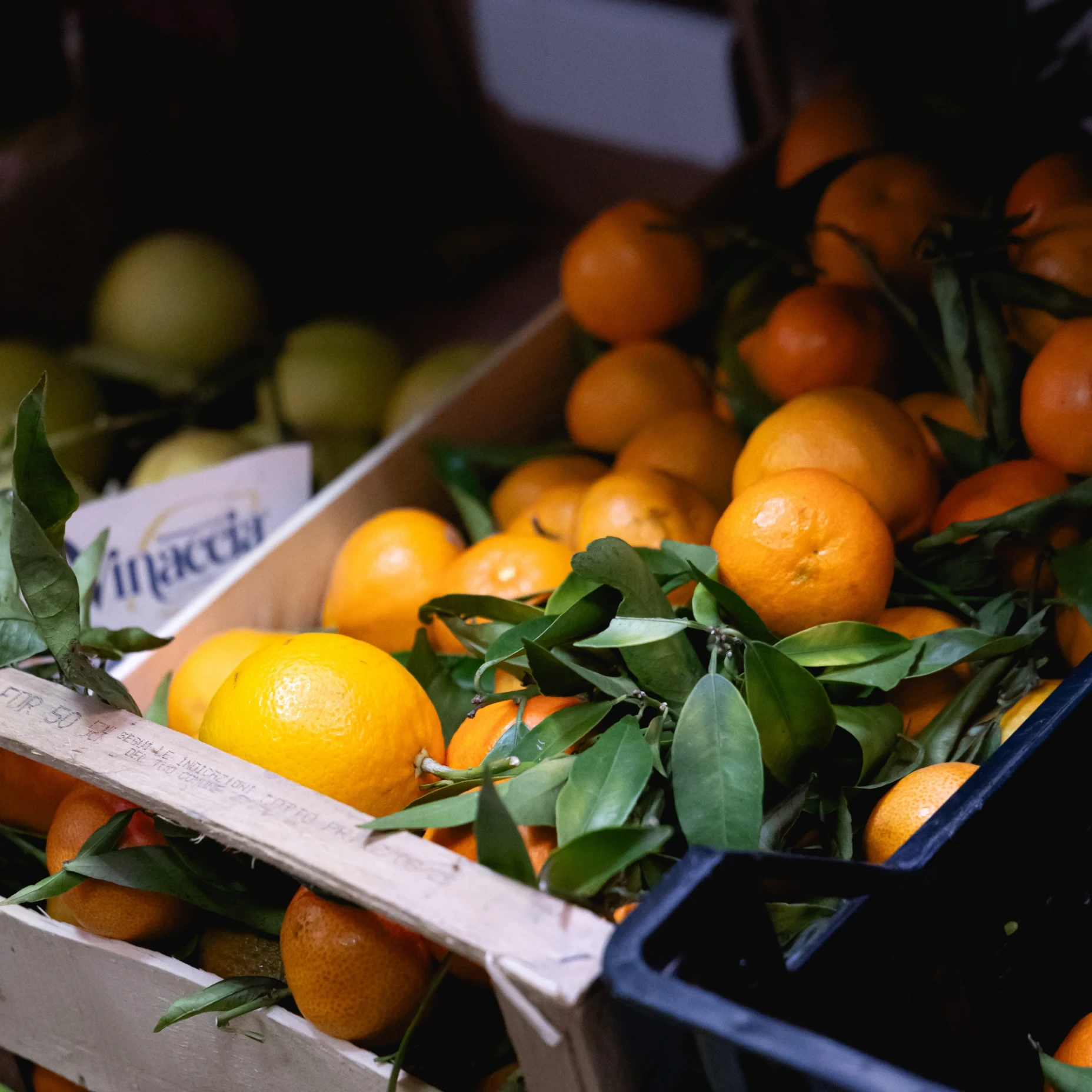 Ortofrutta