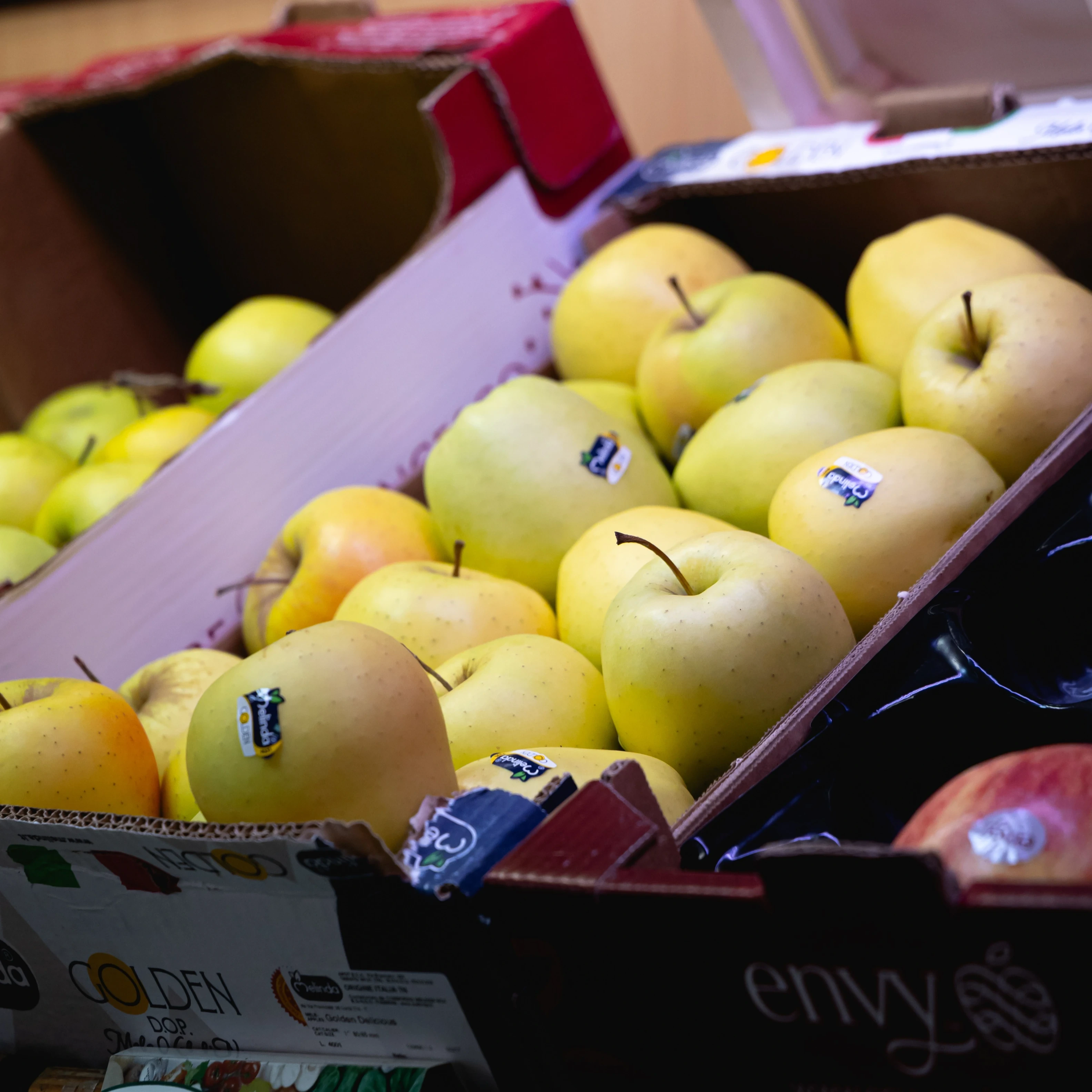 Ortofrutta